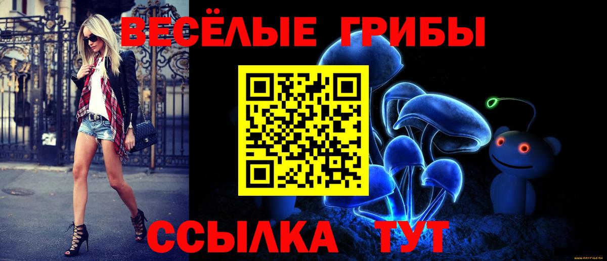 Галлюциногенные грибы мицелий Киселёвск