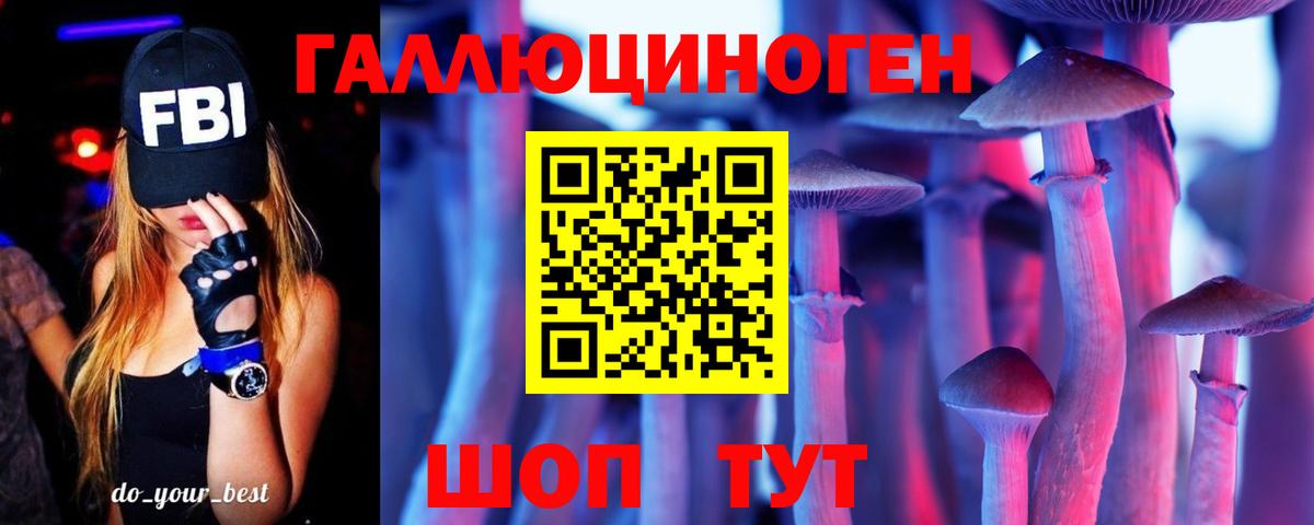 Псилоцибиновые грибы MAGIC MUSHROOMS  Вход с VPN  Псилоцибиновые грибы Psilocybe  Киселёвск 